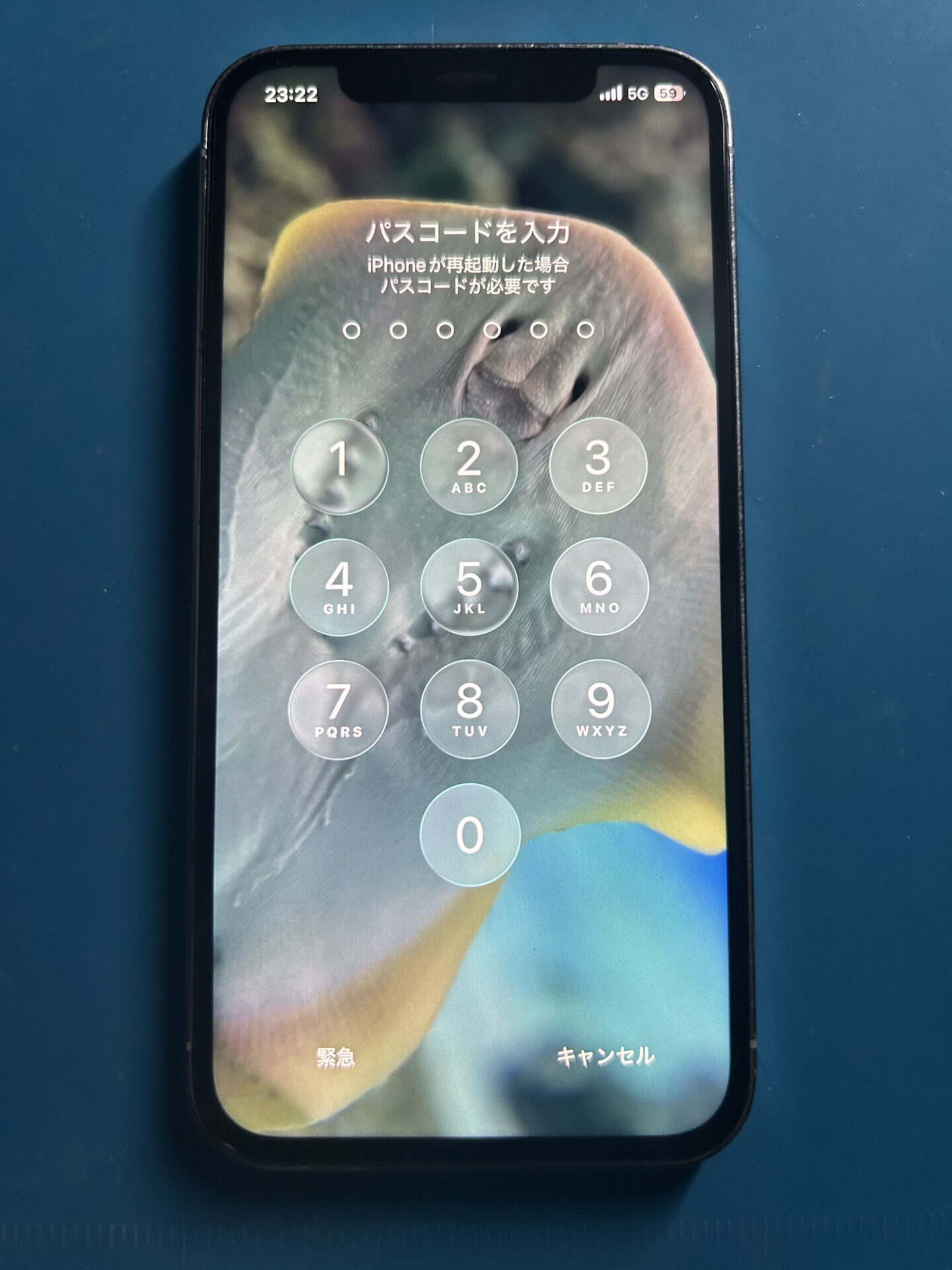 埼玉県さいたま市でiPhone12Proの画面割れ修理 - ゴーリペア